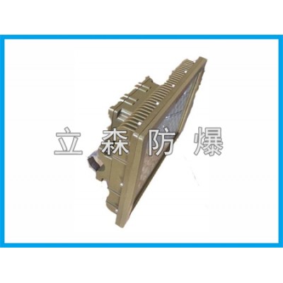 BSD80防爆LED照明灯