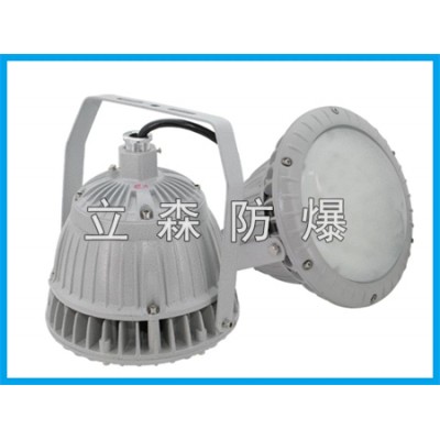 BSD70防爆LED照明灯