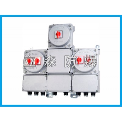 BLP71防爆配电箱